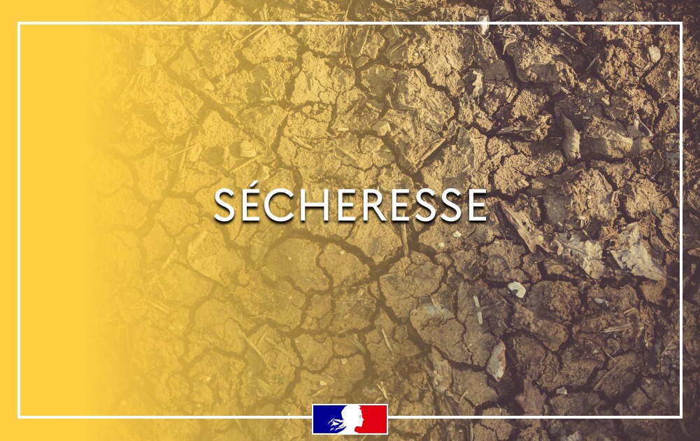 sécheresse